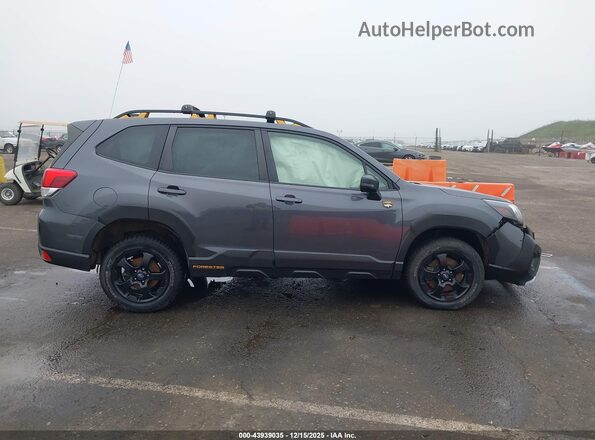 JF2SKAJC6RH422209 2024 SUBARU FORESTER Gray Widok wnętrza 360 stopni