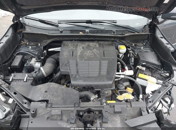 JF2SKAJC6RH422209 2024 SUBARU FORESTER Gray Widok z tyłu
