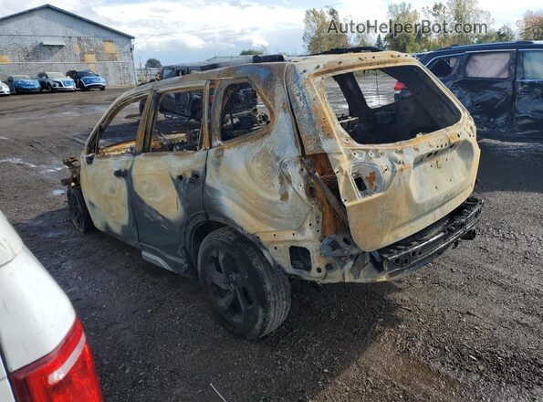 JF2SKAMC3RH472500 2024 SUBARU FORESTER Burn Задня ліва чверть