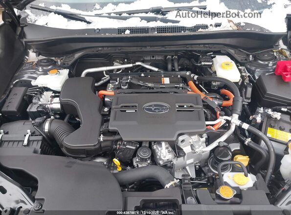 JF2SLSED3SH429095 2025 SUBARU FORESTER Gray Вид ззаду