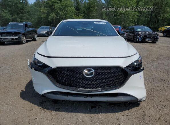 JM1BPAK7XK1106263 2019 MAZDA 3 White 