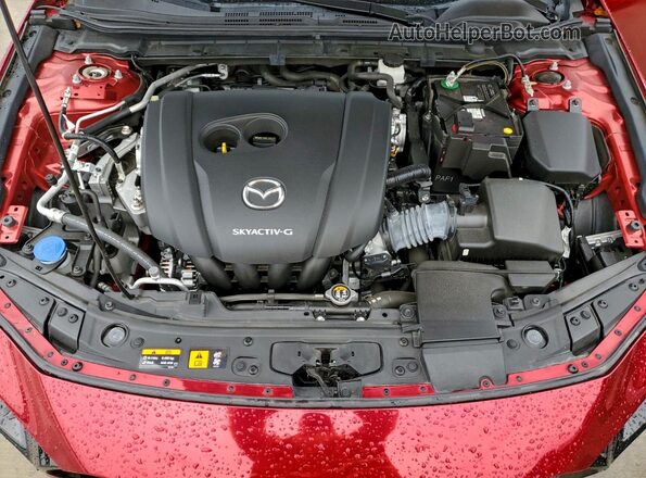 JM1BPAMM4L1166432 2020 MAZDA 3 Red Սալոնի հետևի տեսք