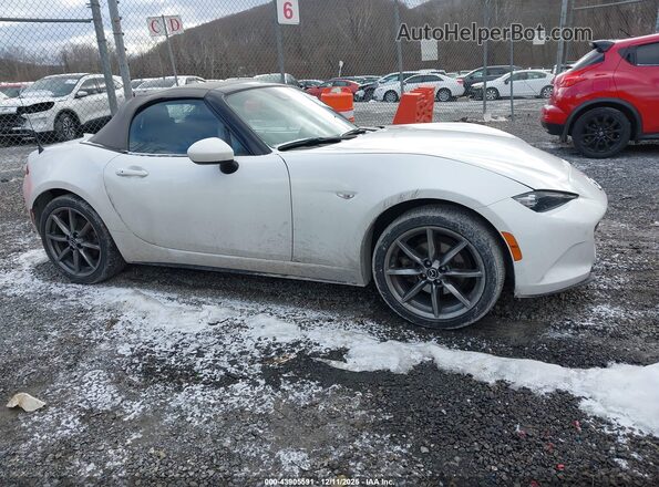 JM1NDAD71M0456862 2021 MAZDA MX-5 MIATA Белый Вид задней части салона