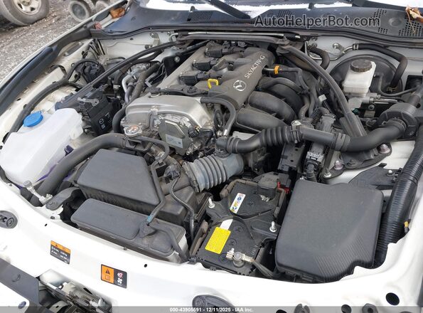 JM1NDAD71M0456862 2021 MAZDA MX-5 MIATA Белый Вид сзади