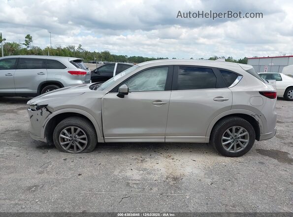JM3KFBBL8R0465401 2024 MAZDA CX-5 Желто-коричневый Панорамный вид салона 360°