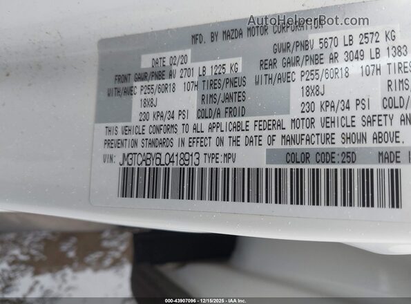 JM3TCABY6L0418913 2020 MAZDA CX-9 White Widok komory silnika