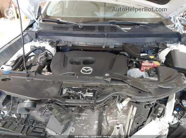 JM3TCBAY2P0635985 2023 MAZDA CX-9 Белый Вид сзади
