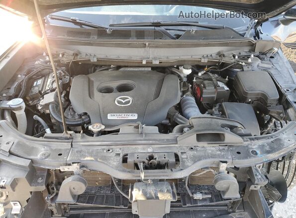 JM3TCBCY6M0531105 2021 MAZDA CX-9 Black Vista interior trasera