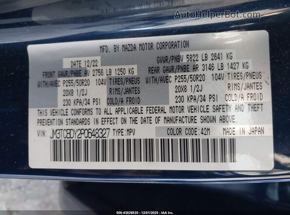 JM3TCBDY2P0648327 2023 MAZDA CX-9 Blue Vista del compartimento del motor