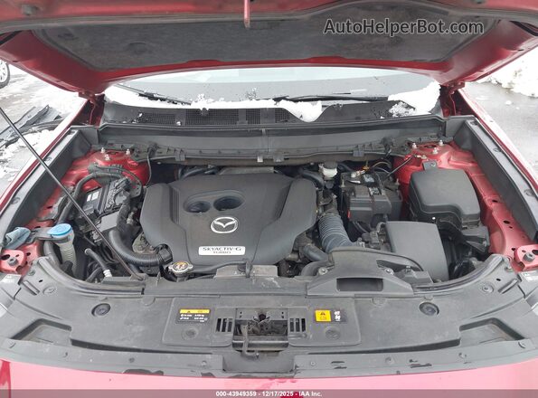 JM3TCBEY0M0541562 2021 MAZDA CX-9 Red Widok z tyłu