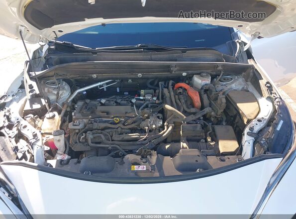 JTEAAAAH2PJ140417 2023 TOYOTA VENZA Белый Вид сзади