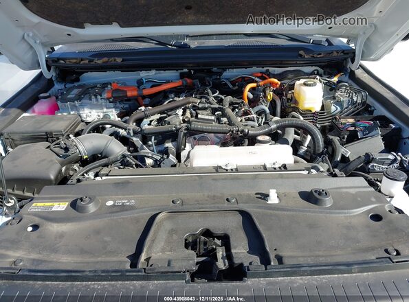 JTEABFAJ7S5016562 2025 TOYOTA LAND CRUISER White Widok z tyłu