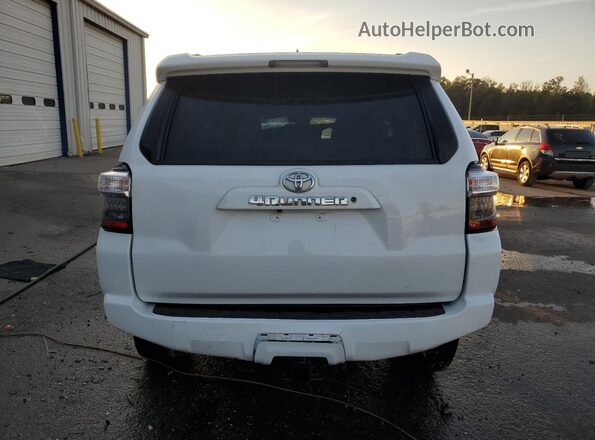JTEEU5JR5M5229377 2021 TOYOTA 4RUNNER Белый Вид сзади