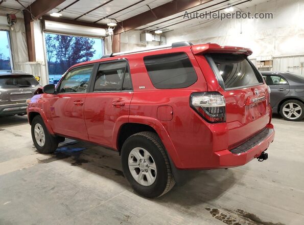 JTEEU5JR9R5306226 2024 TOYOTA 4RUNNER Red Rear left