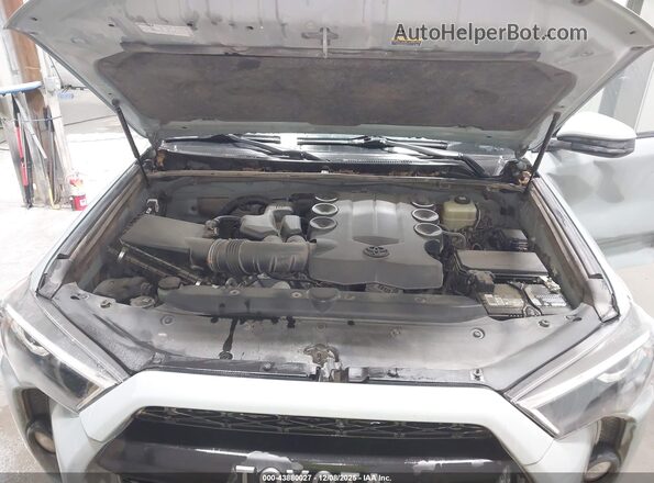JTELU5JR6M5840087 2021 TOYOTA 4RUNNER Gray Հետևի տեսք