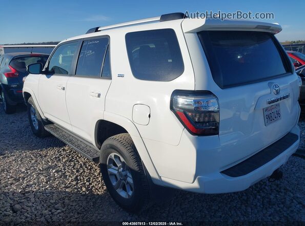 JTEMU5JR2R6287508 2024 TOYOTA 4RUNNER White Tył lewy