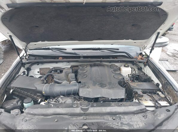 JTERU5JR4P6104208 2023 TOYOTA 4RUNNER White უკანა ხედი