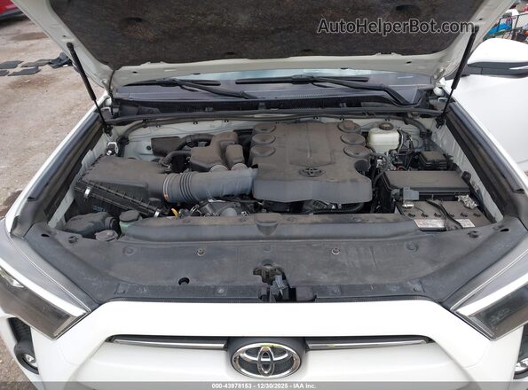 JTERU5JRXP6168432 2023 TOYOTA 4RUNNER White Rear view