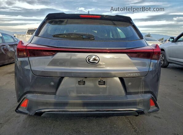 JTHB6JBH5P2154183 2023 LEXUS UX Charcoal Vista trasera