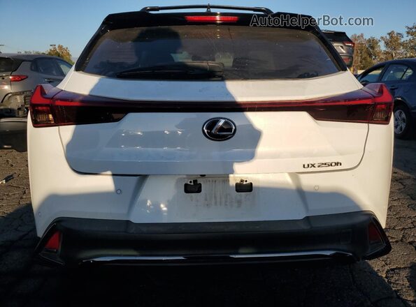 JTHB6JBH6P2145508 2023 LEXUS UX White Вид ззаду