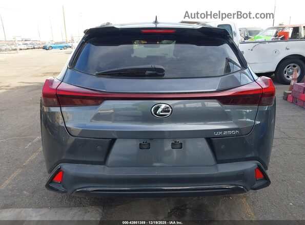 JTHB6JBH6R2163607 2024 LEXUS UX 250H Gray 
