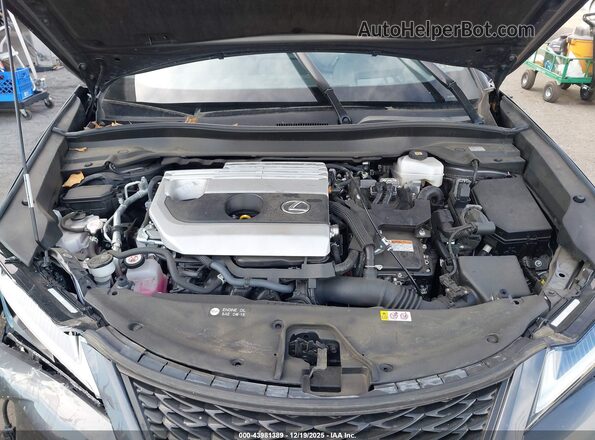JTHB6JBH6R2163607 2024 LEXUS UX 250H Gray Вид ззаду