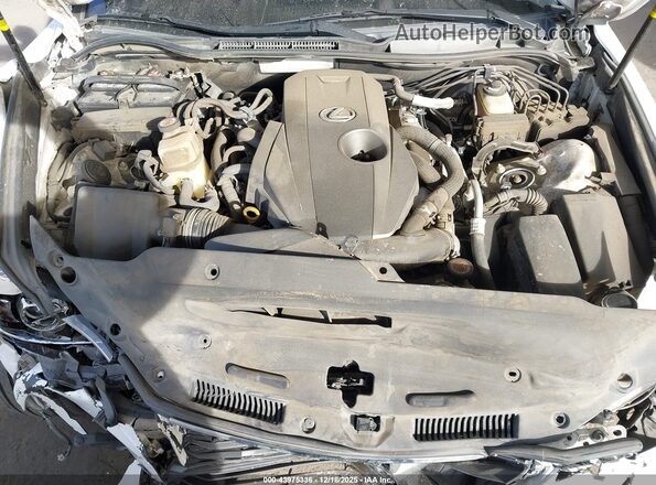 JTHBA1D22K5088772 2019 LEXUS IS 300 White უკანა ხედი