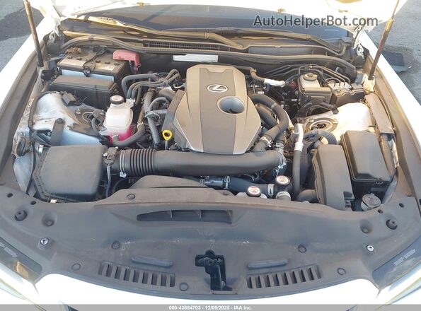 JTHCA1D20P5123546 2023 LEXUS IS 300 Белый Вид сзади