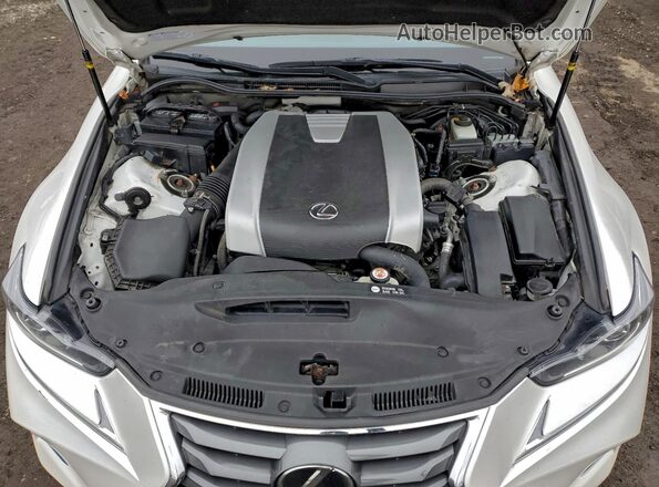 JTHD81F29L5042990 2020 LEXUS IS White Սալոնի հետևի տեսք