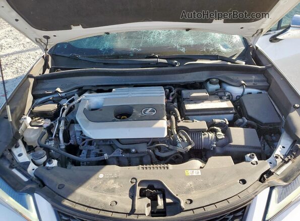 JTHE3JBH4M2033131 2021 LEXUS UX White Вид задньої частини салону