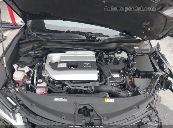 JTHE9JBH7L2035940 2020 LEXUS UX 250H Черный Вид сзади