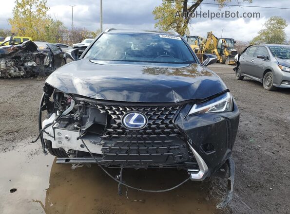 JTHL9JBH2M2043856 2021 LEXUS UX Black Вид спереду