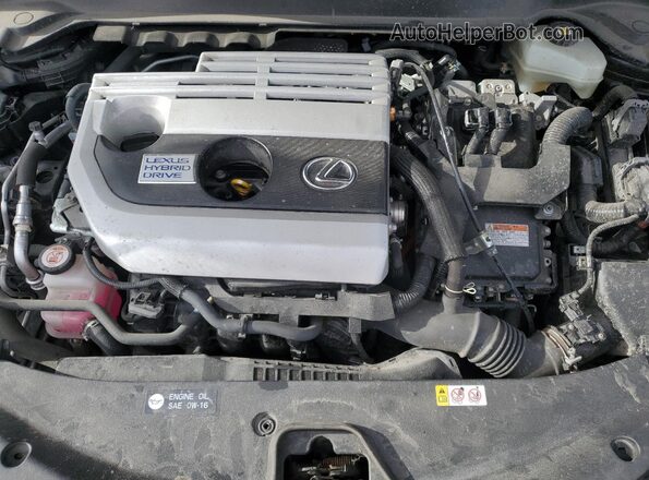 JTHL9JBH2M2043856 2021 LEXUS UX Black Вид задньої частини салону