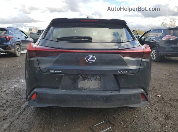 JTHL9JBH2M2043856 2021 LEXUS UX Black Вид ззаду