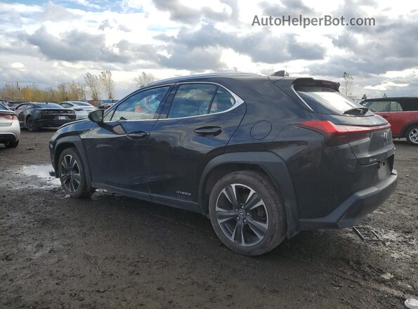 JTHL9JBH2M2043856 2021 LEXUS UX Black Задня ліва чверть