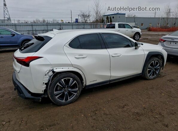 JTHL9JBH4M2049707 2021 LEXUS UX White Հետևի աջ