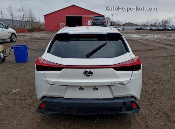 JTHL9JBH4M2049707 2021 LEXUS UX White Հետևի տեսք