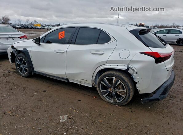 JTHL9JBH4M2049707 2021 LEXUS UX White Հետևի ձախ