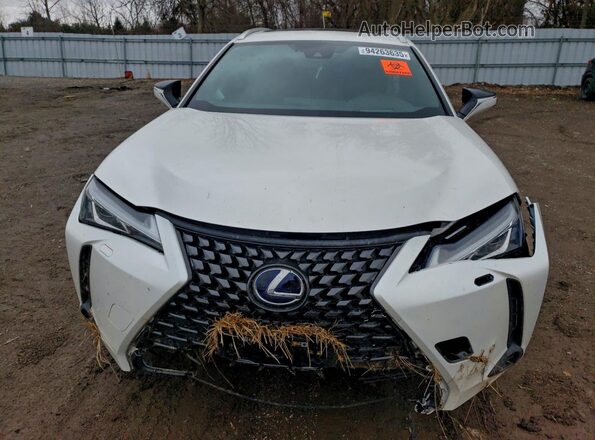JTHL9JBH4M2049707 2021 LEXUS UX White Դիմացի տեսք