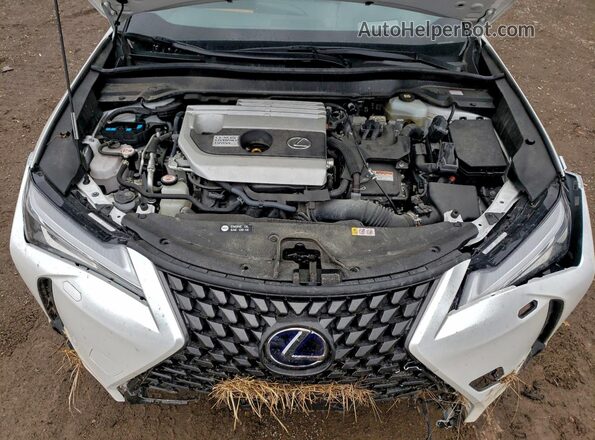 JTHL9JBH4M2049707 2021 LEXUS UX White Շարժիչի բաժամունքի տեսք