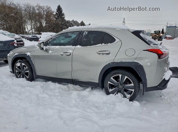 JTHL9JBH8M2041125 2021 LEXUS UX Silver Հետևի ձախ