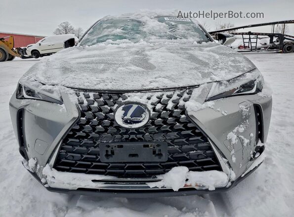 JTHL9JBH8M2041125 2021 LEXUS UX Silver Դիմացի տեսք