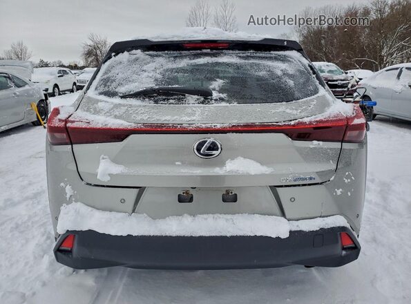JTHL9JBH8M2041125 2021 LEXUS UX Silver Հետևի տեսք