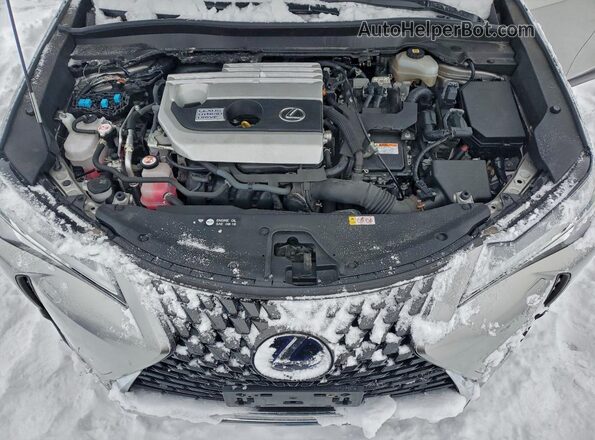 JTHL9JBH8M2041125 2021 LEXUS UX Silver Սալոնի հետևի տեսք