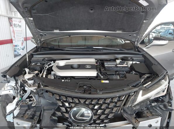 JTHP3JBH0L2023798 2020 LEXUS UX 200 Gold Հետևի տեսք