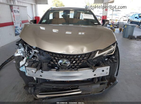 JTHP3JBH0L2023798 2020 LEXUS UX 200 Gold Սալոնի հետևի տեսք