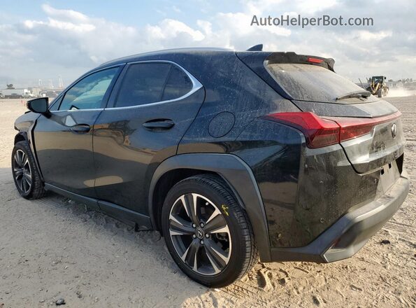 JTHP3JBH6L2029217 2020 LEXUS UX Black უკანა მარცხენა