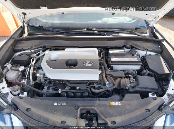 JTHP3JBH8N2047429 2022 LEXUS UX 200 White Вид ззаду