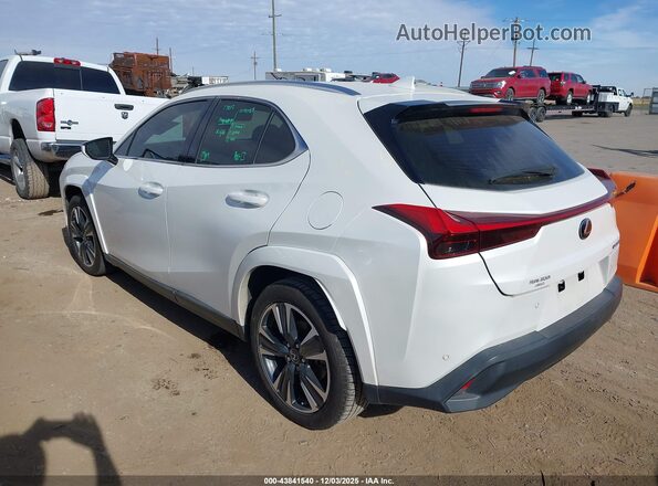 JTHP3JBH8N2047429 2022 LEXUS UX 200 White Задня ліва чверть