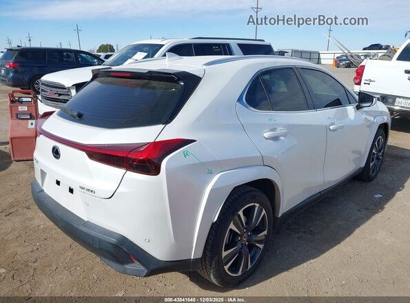JTHP3JBH8N2047429 2022 LEXUS UX 200 White Задня права чверть